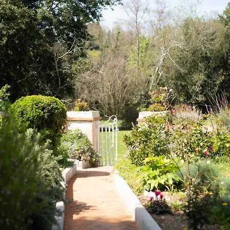 Casa Patro - Hogar Acogedor Cerca De La Playa *