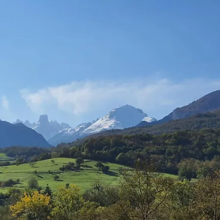 Casa Patro - Confort En